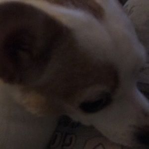 Meet your Posher, Ruby